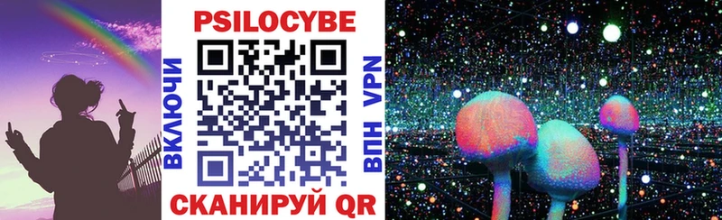 Купить закладки Кяхта Псилоцибиновые грибы Psilocybine cubensis